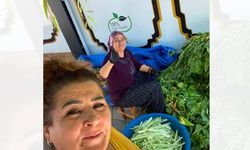 Pezik Turşusu Mesaisi Yozgat'ta Başladı