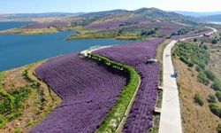 SORGED Gençleri Doğayla Buluşturuyor: Lavanta Adası ve Rafting Heyecanı Başlıyor!