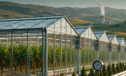Yatırımcılara Müjde! Yozgat'ta Jeotermal Sera OSB Başvuruları Başladı!