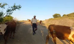 Yozgat Akdağmadeni’nde Çoban Alımı İçin Kurs Düzenlenecek