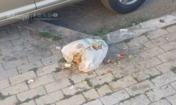 Yozgat Halkı Çevre Bilincinde Sınıfta Kaldı