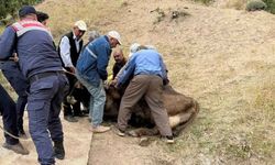Yozgat Merkez’de Jandarmadan Can Kurtaran Operasyon!