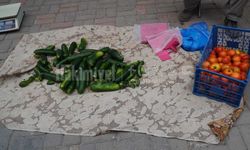 Yozgat’ta Bahçeden Sokağa İndirdi! Kendi Yetiştirdiği Domates ve Salatalıkları Satıyor
