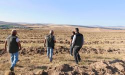 Yozgat'ın Sorgun İlçesinde Ormanlık Alanlar İncelendi