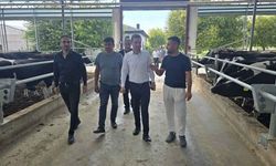 Yozgatlı Genç Veterinerin Azmi Tesise Dönüştü