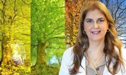 Yozgatlılar Mevsimsel Alerjiye Dikkat: Astıma Dönüşebilir!