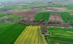 Yozgat'ta Belediye Duyurdu: Arsalar Uygun Fiyata Satılıyor!