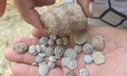 Yozgat'ta Dağ Başında Deniz Canlısı Kalıntıları! Jeolojik Sır İçin Bilim İnsanlarına Çağrı Yapıldı