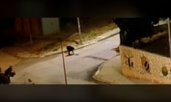 Yozgat’ta Gece Yarısı Şaşkına Çeviren Olay! TOKİ’de Kaldırım Taşlarını Söktü