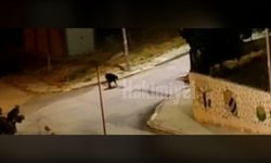 Yozgat’ta Gece Yarısı Şaşkına Çeviren Olay! TOKİ’de Kaldırım Taşlarını Söktü