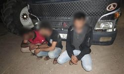 Yozgat’ta Hasat Skandalı! Çiftçiler Tarlada Suçüstü Yakaladı