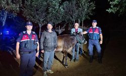Yozgat'ta Kaybolan Büyükbaş Hayvan Sahibine Teslim Edildi