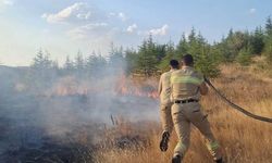 Yozgat’ta Orman Yangını Paniği! Ekiplerin Hızlı Müdahalesi Felaketi Önledi