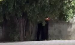 Yozgat'ta Parkta Çekilen Görüntüler Yok Artık Dedirtti