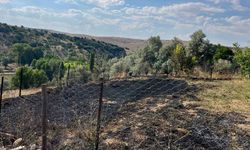 Yozgat'ta Yanlışlıkla Komşu Tarlasını Yaktı, Jandarma Müdahale Etti