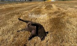Yozgat’ta YHT Girişinde Şaşkına Çeviren Görüntü! Vatandaşlar Çözüm Bekliyor