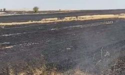 Akdağmadeni’nde Anız Yangınına 3 Bin 706 TL Ceza