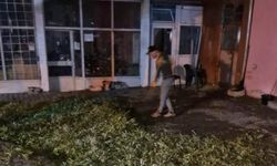 Boğazlıyan’ı Dolu Vurdu! Şiddetli Yağış ve Fırtına Hayatı Olumsuz Etkiledi