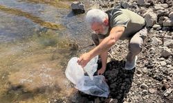 Sorgun Göletlerine 150 Bin Yavru Balık Bırakıldı