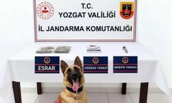 Sorgun’da Uyuşturucu Operasyonu: 1 Şüpheli Gözaltına Alındı