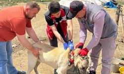 Yozgat Valiliğinden Sert Uyarı: Bu Şartı Yerine Getirmeyene Ağır Fatura!