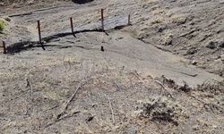 Yozgat’ta 65 Hektarlık Alanda Erozyonla Mücadele: Çalışmalar Meyvelerini Verdi