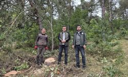 Yozgat'ta Ormanlar Mercek Altında