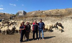 Yozgat’ta “Kırsalda Bereket, Küçükbaşa Destek” Projesinde Hayvan Dağıtımları Sürüyor