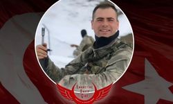 Yozgat'ta Şehit Halil İbrahim Yiğit Hatıra Ormanı Yeşeriyor