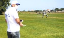 Yozgat’ta hangi tarım ürünleri yetişiyor? Toprak yapısı ve iklimin öne çıkardığı ürünler