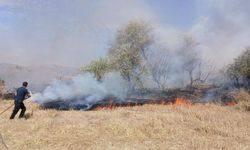 Yozgat’ta Yangın Paniği! 150 Dönüm Arazi Küle Döndü