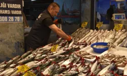 Karadeniz'de palamut bolluğu fiyatları dip seviyeye çekti: Tezgahlarda son 15 yılın en bereketli günleri