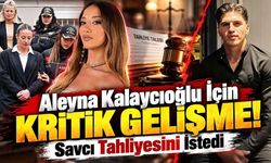 Aleyna Kalaycıoğlu İçin Kritik Gelişme! Savcı Tahliyesini İstedi