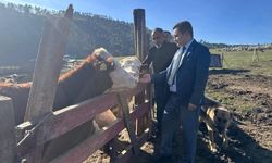 Çayıralan Kaymakamı Emre Açar Sahada: "Aile İşletmelerinin Desteklenmesi Şart!"