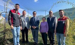 Çayıralan Tarlalarında Şifa Deposu Goji Berry Yetişiyor