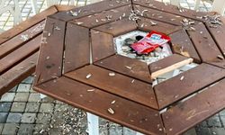 Çekerek’te Duyarsızlığın Bu Kadarı 'Pes' Dedirtti!