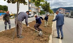 Çekerek’te Fuat Oktay Bulvarı Yenileniyor