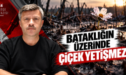Bataklığın Üzerinde Çiçek Yetişmez