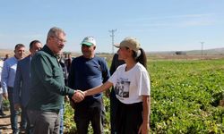 "Tarlada Emek, Sofrada Bereket": Kayseri Şeker Yönetimi Yozgatlı Üreticilerle Buluştu!