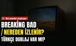Breaking Bad hangi platformda, nereden izlenir? Breaking Bad kaç sezon, kaç bölüm, Türkçe dublaj var mı?