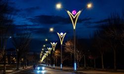 AYDINLATMA DİREĞİ SATIN ALINACAKTIR