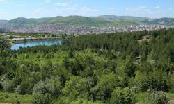 YOZGAT ORMAN İŞLETME MÜDÜRLÜĞÜ’NDEN
