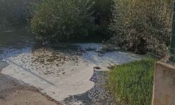 Sorgun’da Delibaş Deresi Temizlik Bekliyor!