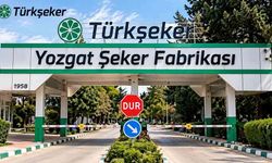 TÜRKŞEKER İşçi Alımı Sonuçları Belli Oldu: Yozgat da Var!