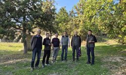 Yozgat Çekerek'te Anıt Karadut Ağaçları Koruma Altına Alınıyor