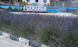 Yozgat'ta 20,5 Milyonluk Dev Bütçe Nasıl Harcandı? Çekerek Yatırımları Gündemde!