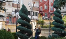 Yozgat Lise Caddesi’nde Ağaç Budama Mesaisi Sürüyor