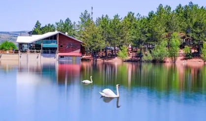 Yozgat Çamlığı Milli Parkı nerede? Yozgat Çamlığı Milli Parkı'na nasıl gidilir?