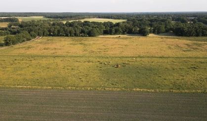 Gayrimenkul yatırımcıları gözü o yerlere dikti! Geleceğin İstanbul'u olacak