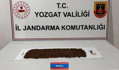 Sorgun'da Uyuşturucu Operasyonu: 90 Gram Bonzai Ele Geçirildi